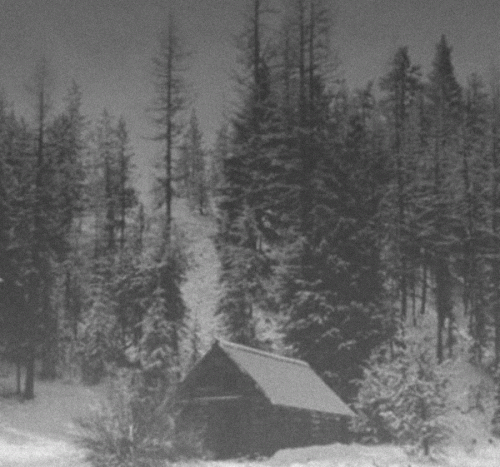 Vintlechkeit : Dype i Vinterskogens​.​.​.